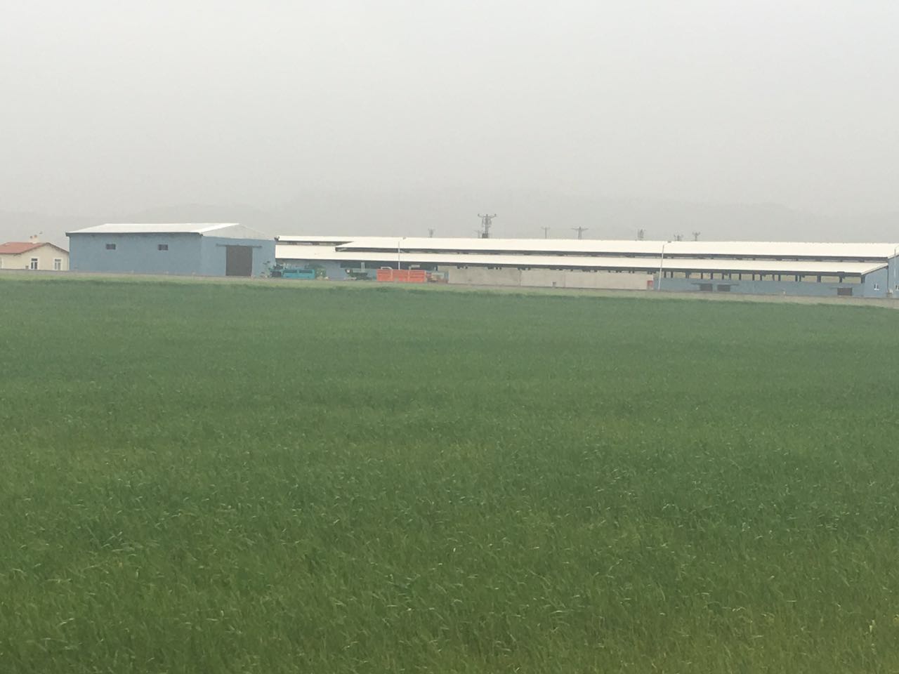 sarayonu-kadinhani-sut-ciftligi-04