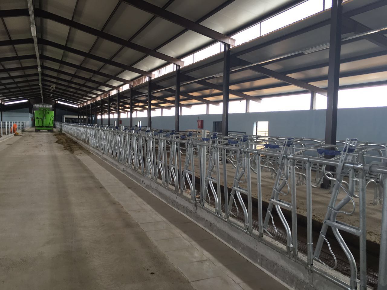 sarayonu-kadinhani-sut-ciftligi-05