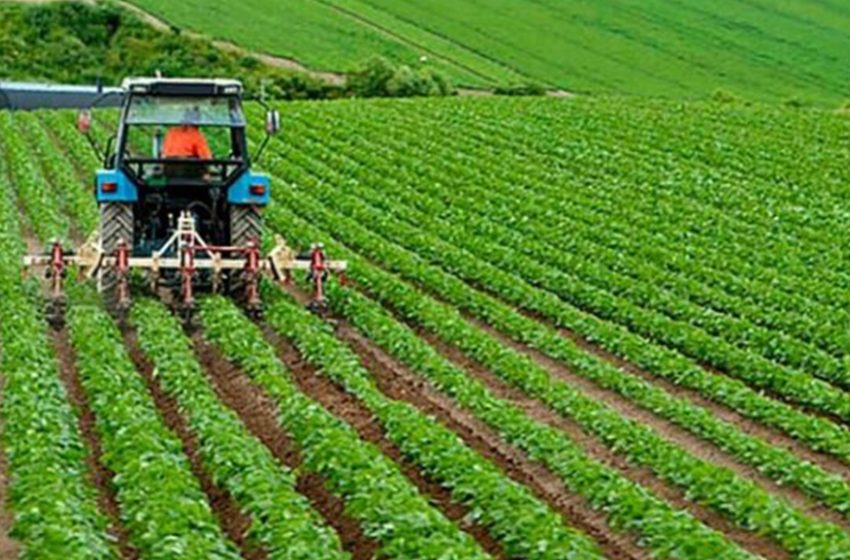 Bitkisel Üretimin Çeşitlendirilmesi ve Bitkisel Ürünlerin İşlenmesi225