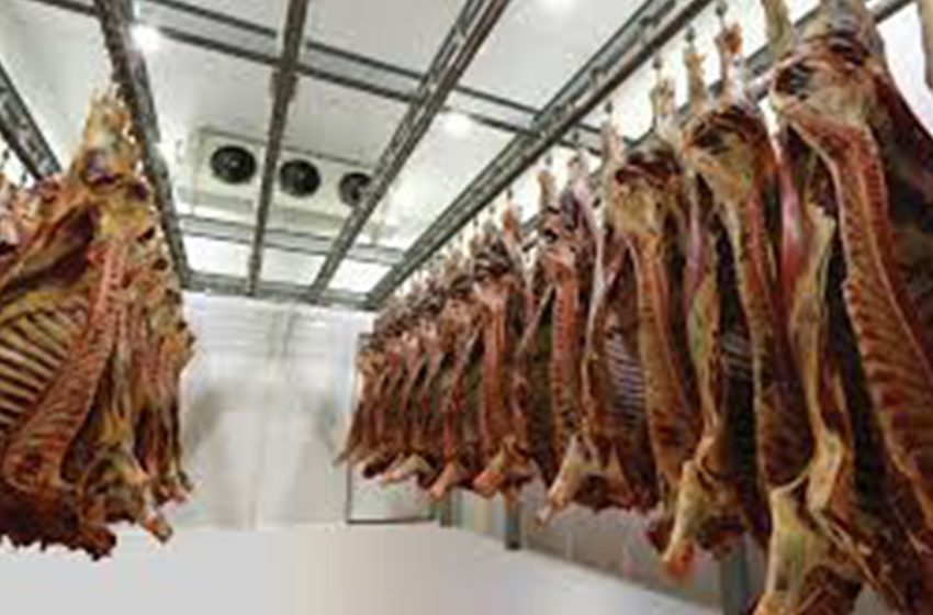 Kırmızı Et ve Et Ürünlerinin İşlenmesi ve Pazarlanması 1