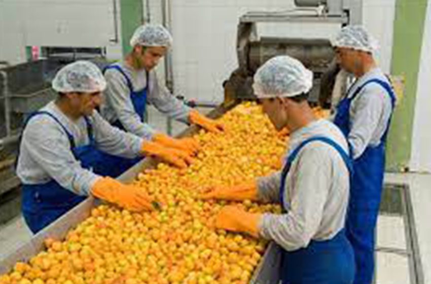 Meyve ve Sebze Ürünlerinin İşlenmesi ve Pazarlanması