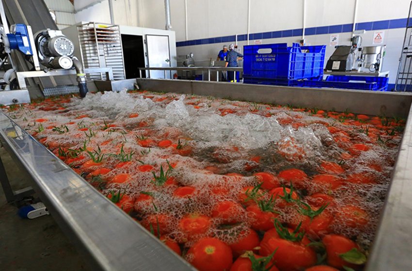 Meyve ve Sebze Ürünlerinin İşlenmesi ve Pazarlanması2