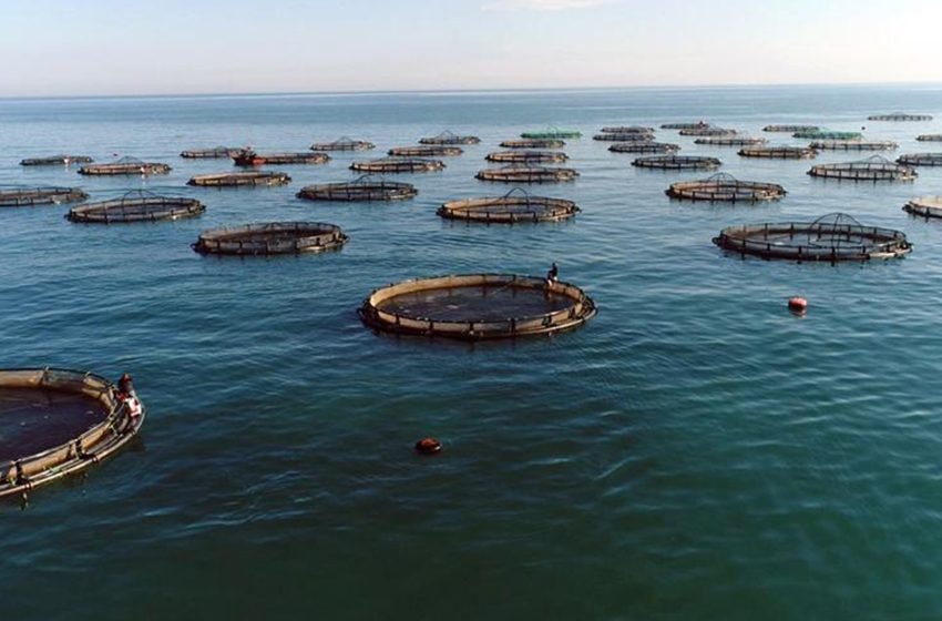 Su Ürünleri Yetiştiriciliği