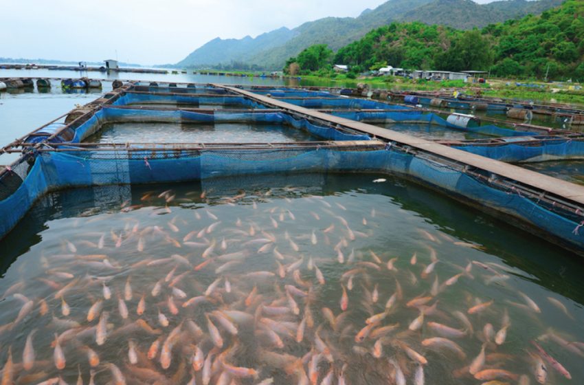 Su Ürünleri Yetiştiriciliği1