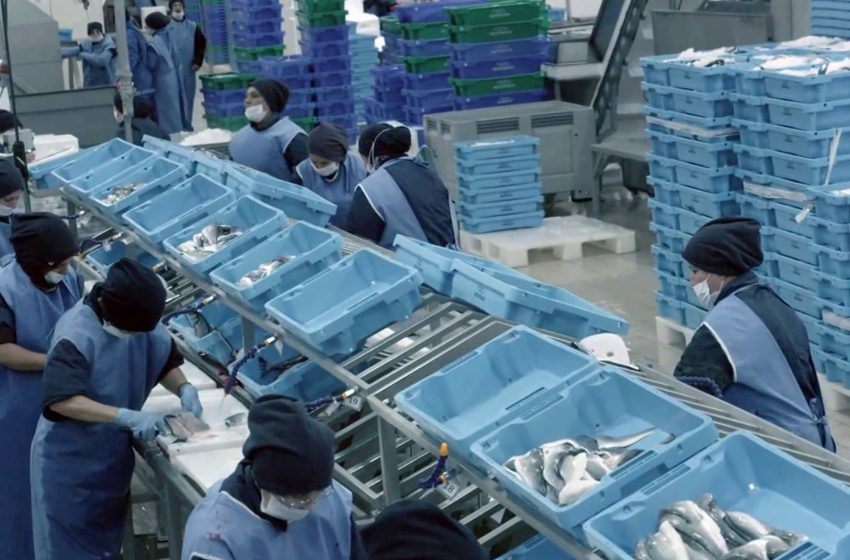 Su Ürünlerinin İşlenmesi ve Pazarlanması1