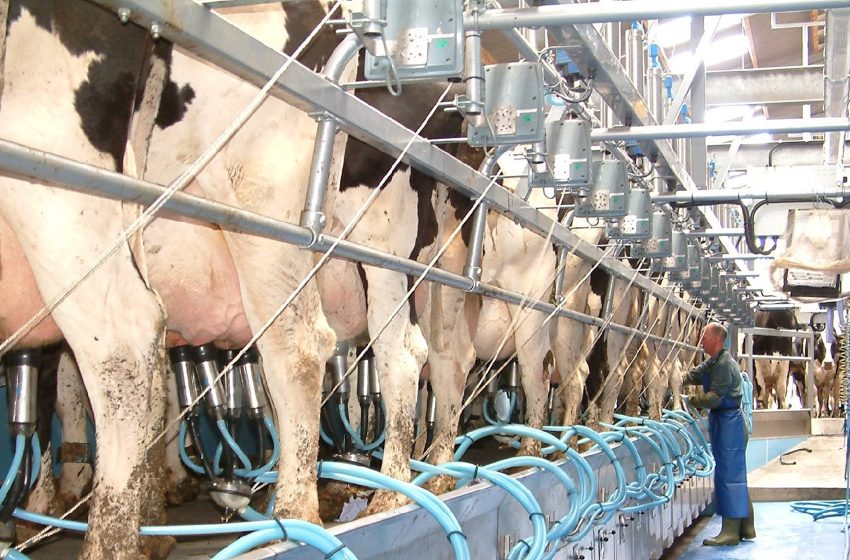 Süt Üreten Tarımsal İşletmeler5858